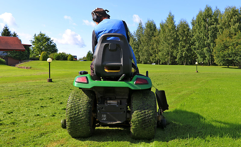 Der kleine benzingetriebene Sitzmäher für größere Rasenflächen, bietet immer wieder Anlass zur Begutachtung.